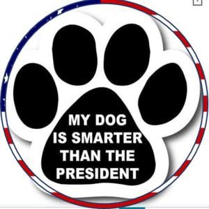 Meet your Posher, Brenda